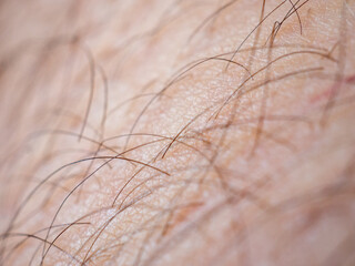 close up skin and body hair