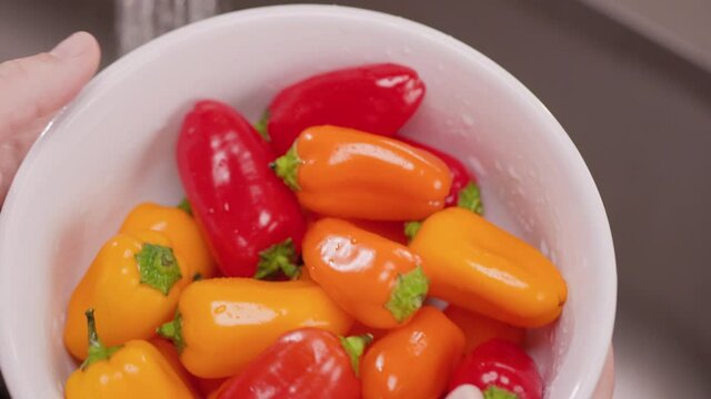Hands Grab a Bowl of Mini Peppers to Rinse with Water Above. hands grab a bowl of colorful mini peppers to move under sink faucet streaming water to clean the vegetables