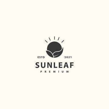 Sun leaf hipster vintage logo design template vector icon illustration