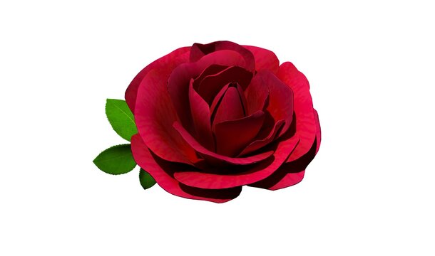 Ilustración de una rosa en 3D render. Flor roja