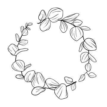 Hand drawn vector illustration. Botanical laurel eucalyptus wreath with branches and leaves. Floral design elements. Perfect for weddng invitations, greeting cards, posters, logo