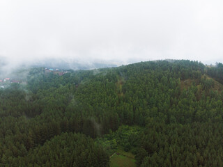 Foggy evergreen fir forest on a hilltop among the mountains of the National Park of the Republic of Bashkortostan on Lake Bannoye