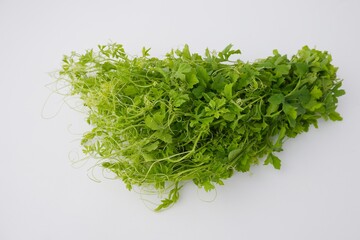 Young shoots Momordica charantia fruits with leaves isolated on white background