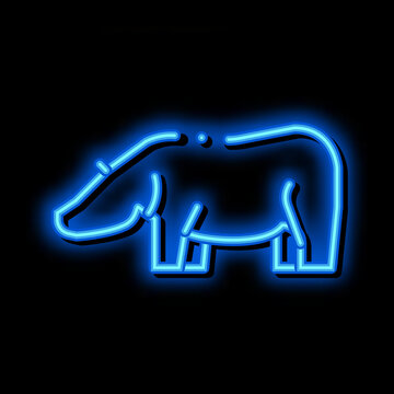 Hippo neon light sign vector. Glowing bright icon Hippo sign. transparent symbol illustration