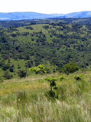 South African Hills, KwaZulu-Natal 