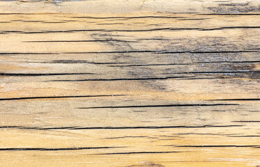 Naklejka premium Old wooden board as an abstract background.