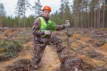 A forest worker holds green tree seedlings in his hands. The concept of reforestation after felling.