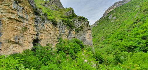 rock wall with trees growing on the steep slopes of the mountain located in a park which is home to a large forest
