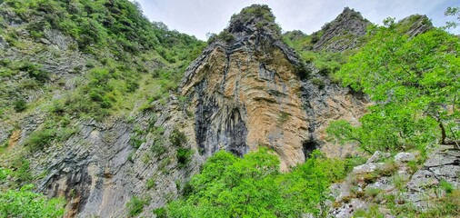 rock wall with trees growing on the steep slopes of the mountain located in a park which is home to a large forest