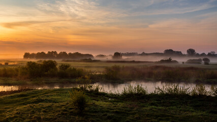 Poranek w Dolinie Górnej Narwi, Podlasie, Polska
