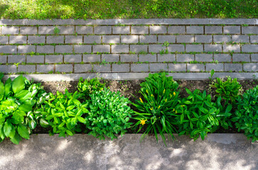 A garden path made of paving stones, surrounded by a lawn with grass and a flower bed, in which...