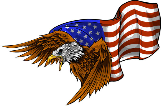 vector illustation American eagle against USA flag and white background.