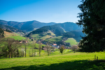 Germany, Schwarzwald village houses and church in green landscape nature panorama with mountains covered with trees and forest in elzach