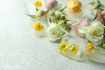 Fototapeta na wymiar Flowers and ice cubes on white textured background