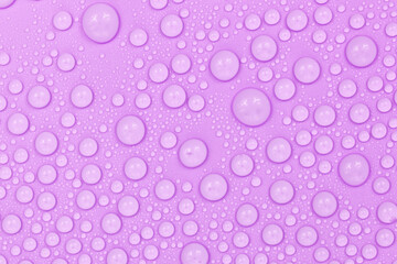 Water drops on purple background texture. Backdrop glass covered with drops of water.  violet bubbles in water