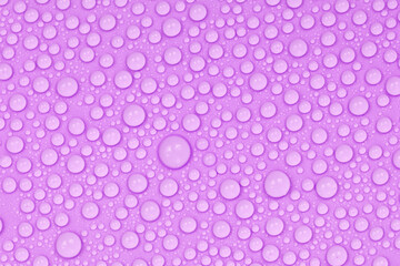 Water drops on purple background texture. Backdrop glass covered with drops of water.  violet bubbles in water
