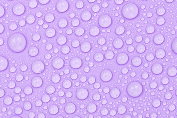 Water drops on purple background texture. Backdrop glass covered with drops of water.  violet bubbles in water