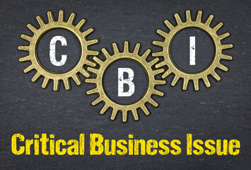CBI / Critical Business Issue
