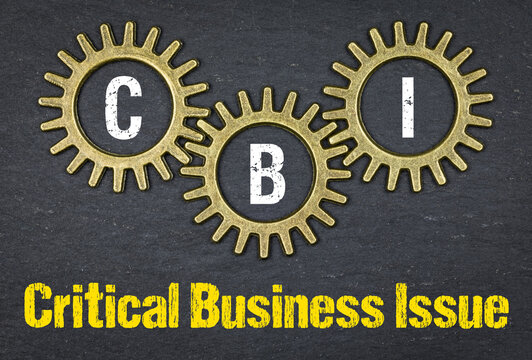 CBI / Critical Business Issue