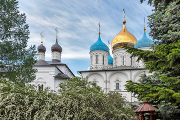 The domes of the Novospassky monastery against the background of a blooming spirea