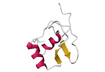 Structure of SAP30 protein, 3D cartoon model with the differently colored secondary structure elements, white background