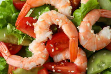 Shrimp salad with different ingredients, close up