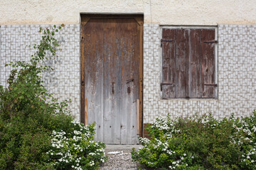Fototapeta na wymiar Vintage and rural garden design:Blooming flowers, foliage and graminaceous plants in a front yard of an old rural house with tiled walls and a wooden weathered door and window with shutters, close up