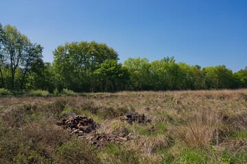 Emsdettener Venn Naturschutz landscape