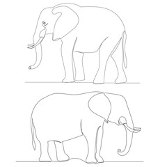 elephant one line drawing isolated, vector