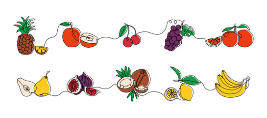 Continuous line fruits. Exotic colored coconut pineapple pear grape orange and bananas. Vector sweet fruits one line set