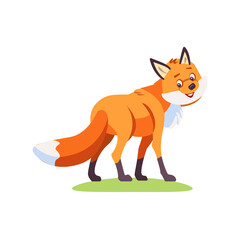 Obraz premium Fox cartoon. Cute Fox turns to the viewer and looks friendly. Vector illustration isolated on white background
