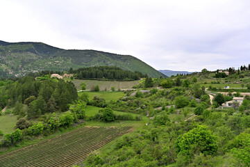 Paysage typique de la Provence