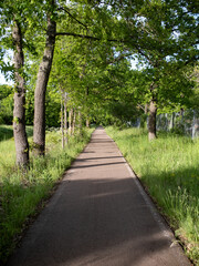 A long straight concrete path between trees and bushes. Blue sky with less clouds.