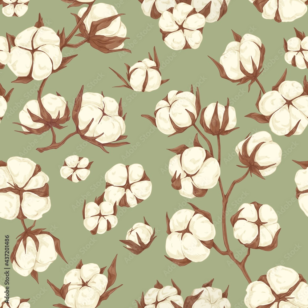 Poster Seamless repeating botanical pattern with soft cotton flower branches. Endless floral background for printing and decoration. Hand-drawn graphic vector illustration for wrapping in vintage style