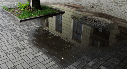 The water that has formed a pond after the rain, reflects a yellow stone house, confusing the stone of the house with the street tile, Riga, Latvia