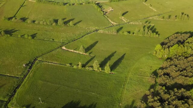 Agricultural landscape in the Polish countryside
