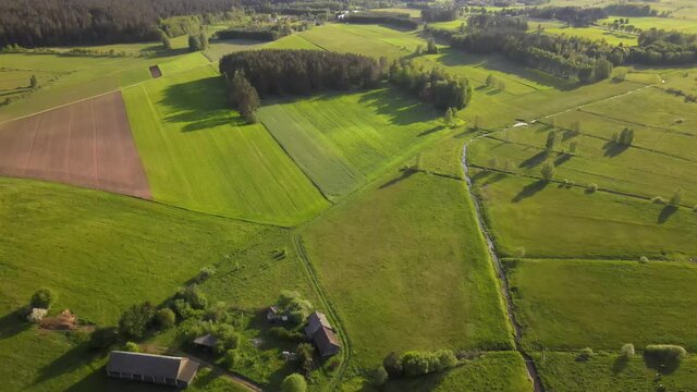 Agricultural landscape in the Polish countryside