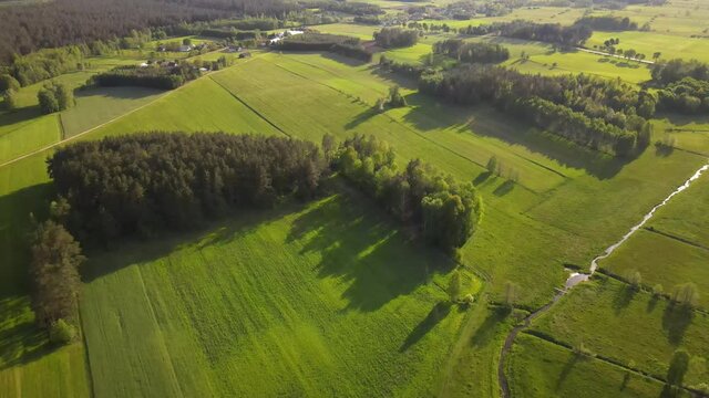 Agricultural landscape in the Polish countryside