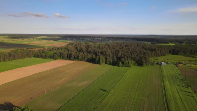 Agricultural landscape in the Polish countryside