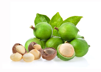 macadamia nuts with leaf on white background.