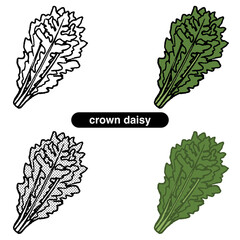 シュンギク01-線画_カラー