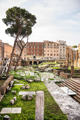 Roman Forum. Here there was the social life of the city. Rome