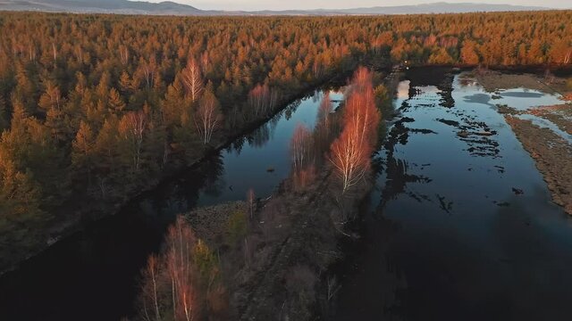 Torfowisko-Bogland Surrounded By Green Forest In Poland During Sunset. aerial