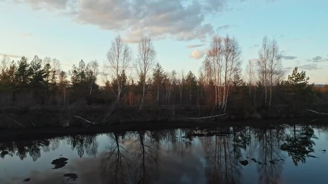 Picturesque View Of The Forest And Marshes Of A Peat Bog In Sunset - 