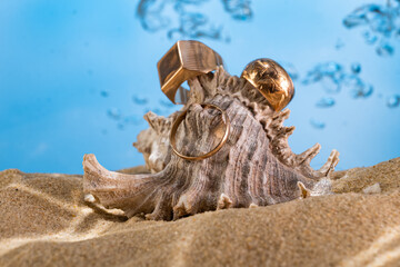 golden rings seashells on the bottom of the sea on the sand under the rays of the sun