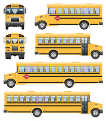 School buses vector template with simple colors without gradients and effects. View from side, front and back © Yuri Schmidt