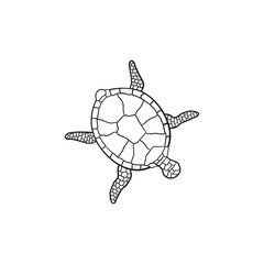 turtle line art, icon logo turtle isolated on white background