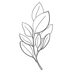 Obraz premium Ecology leaf concept. Isolated on white background. Vector botanical illustration. Hand-drawn doodle floral elements. Spring and summer flower and plant vector in line art outline style. 