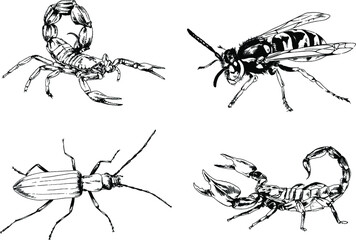 vector drawings sketches different insects bugs Scorpions spiders drawn in ink by hand , objects with no background	