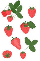 Strawberry berries on a white background, vector illustration.